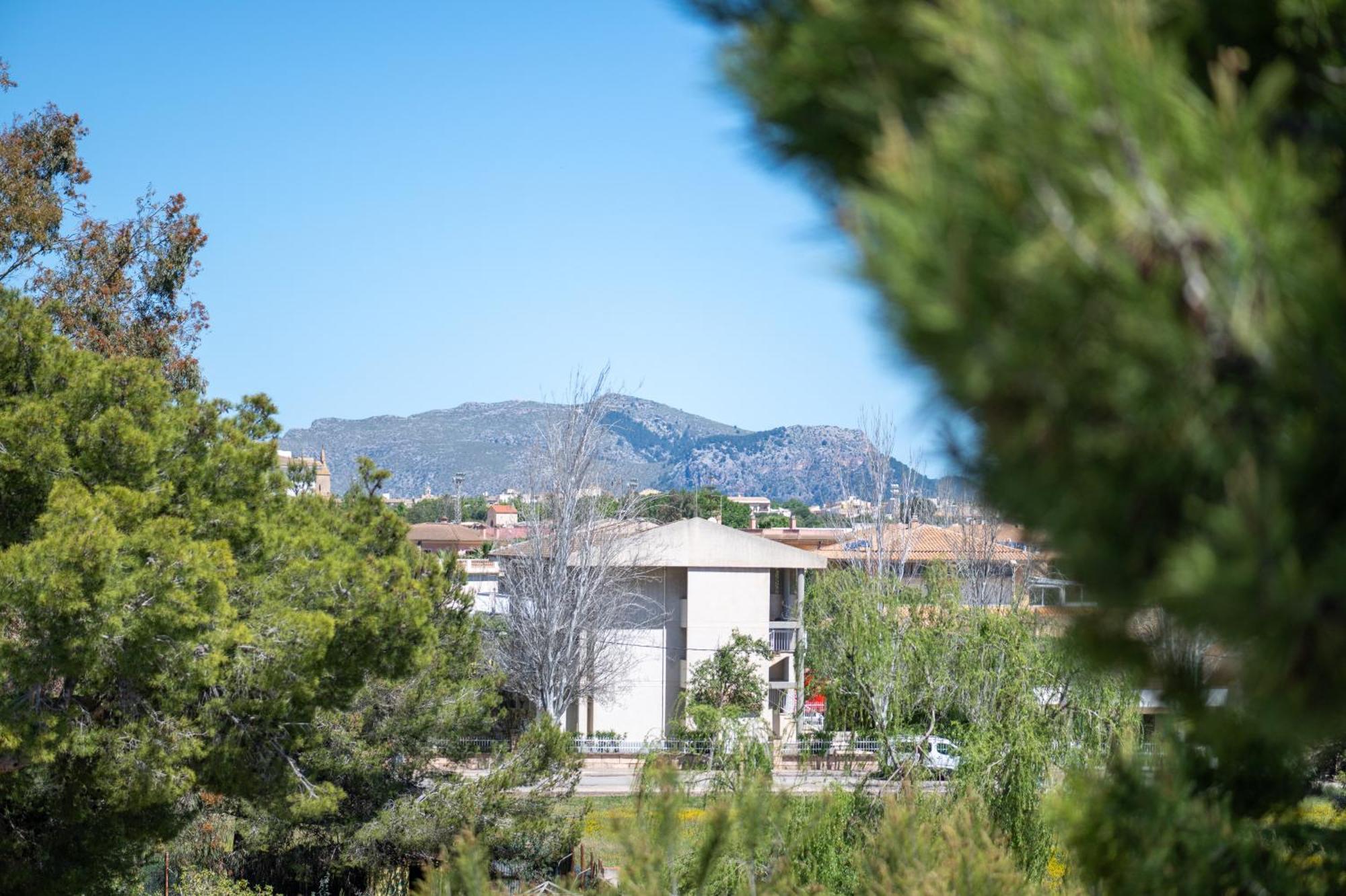 Apartamento Minerva Αλκούδια Εξωτερικό φωτογραφία